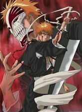 Bleach essbar ichigo gebraucht kaufen  Frankfurt (Oder)