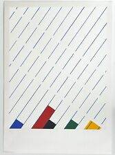 Mauro reggiani serigrafia usato  Italia