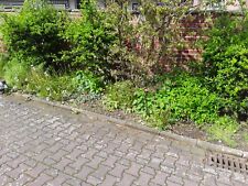 Klinkersteine gebraucht mauer gebraucht kaufen  Neuss