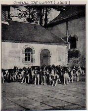 1909 chenil luart d'occasion  Expédié en Belgium