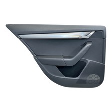 Türverkleidung hinten links gebraucht kaufen  Petershagen