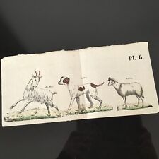 Gravure ancienne xixè d'occasion  Nantes-