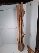 Driftwood cedar taxidermy for sale  Brookwood
