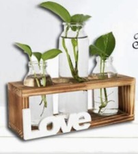 Plant terrarium tabletop for sale  Belpre