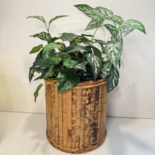 Vintage burnt bamboo for sale  New Port Richey