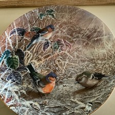 Chaffinches coalport bird for sale  FOCHABERS