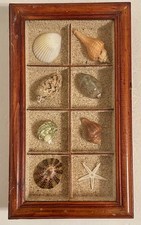 Vintage sea shell for sale  Hammond
