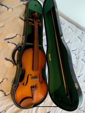Viola 15.5 parrot for sale  BIRMINGHAM