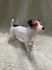 Small jack russell for sale  PETERBOROUGH