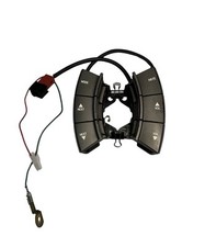 Controles de rádio volante VZ HOLDEN GM BERLINA BOM ESTADO CINZA HSV comprar usado  Enviando para Brazil