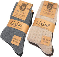 Brubaker pairs alpaca for sale  USA