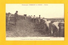 Reims bechage vigne d'occasion  Baugy