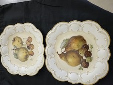 Vintage tirschenreuth fruit for sale  Pompano Beach