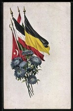 Ansichtskarte österreichische gebraucht kaufen  Berlin