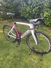 Pinarello dogma usato  Villorba