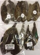 Bird wings pair for sale  NEWCASTLE UPON TYNE