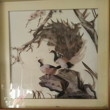 Vtg pheasant wall for sale  Haltom City