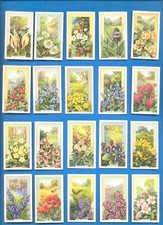 Wild flowers.46 gallaher for sale  UK