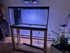 Gallon used saltwater for sale  Malden