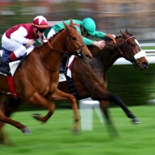 Méthode turf trot d'occasion  France
