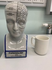 Phrenology head l.n for sale  EASTBOURNE