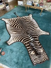 Gomez zebra hide for sale  Seattle