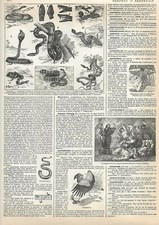 Gravure presse serpents d'occasion Gravure presse serpents d'occasion  France