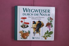 339713 wegweiser durch gebraucht kaufen  Herzebrock-Clarholz