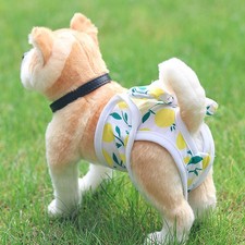 Reusable female dog d'occasion  Expédié en France