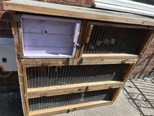 Tier large rabbit for sale  ORMSKIRK