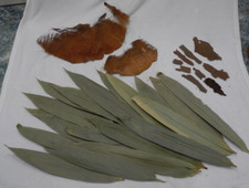 Large dried natural for sale  REDHILL