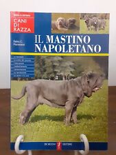 Fioravanzi mastino napoletano usato  Rimini