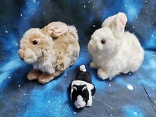 Hasen hase kaninchen gebraucht kaufen  Lauchhammer
