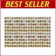 Colorful flower seed for sale  Philadelphia