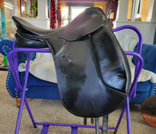 Kieffer lech proffi for sale  Miamisburg