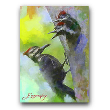 woodpecker for sale woodpecker for sale Pasco