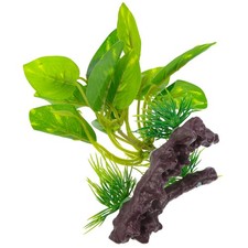 Aquarium water plants for sale  LONDON