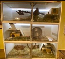 Kleintiervilla gebraucht kaufen  Friedrichshafen