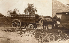 Carte photo attelage d'occasion  Allègre