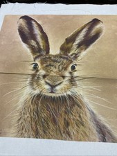 Cheeky rabbit cushion for sale Cheeky rabbit cushion for sale  BELPER