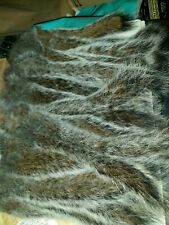 Dry grey squirrel for sale  NEWCASTLE UPON TYNE