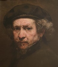 Rembrandt van rijn usato  Casalecchio di Reno