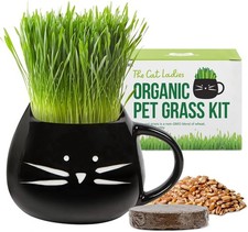 Organic cat grass for sale  New York