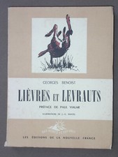 Lièvres levrauts benoist d'occasion  Limoges-