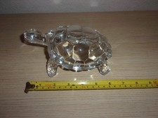 Clear glass tortoise for sale  MANCHESTER