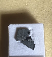 Nwa 7891 meteorite gebraucht kaufen  Hamburg