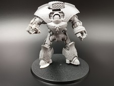 Telemon heavy dreadnought gebraucht kaufen  Geldern