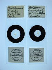 Vintage microscope slides for sale  BRISTOL