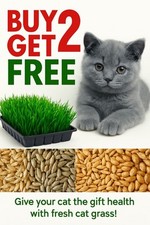 Organic cat oat for sale  STAINES-UPON-THAMES