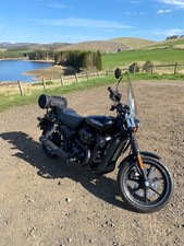 Harley davidson motorcycles for sale  DUNDEE